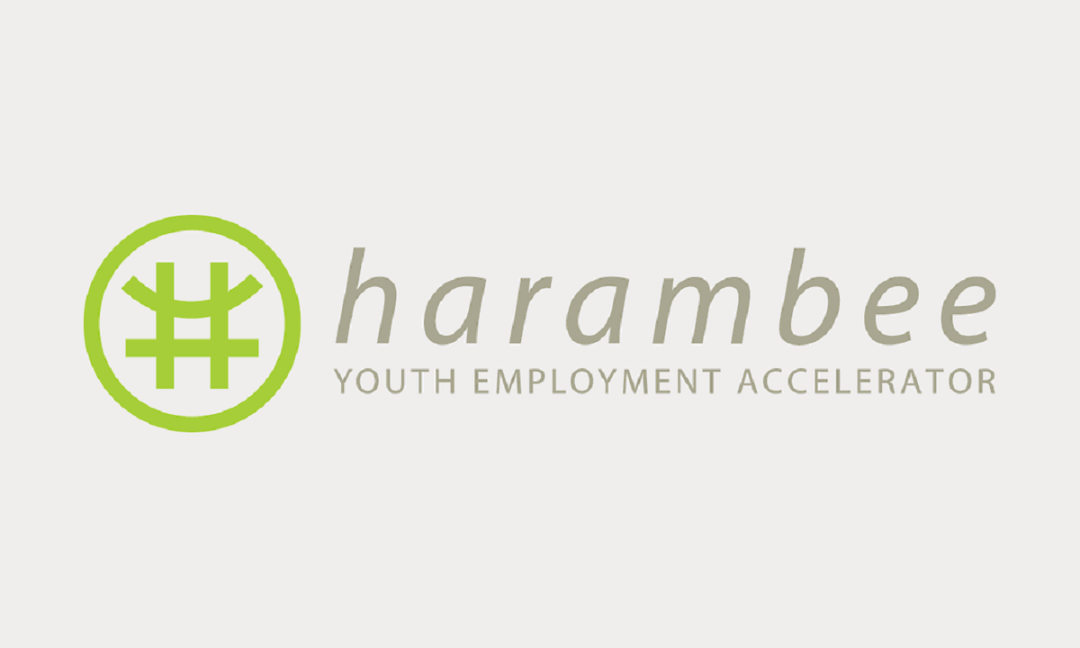 Harambee SA Youth Contact Centre Learnerships 2023