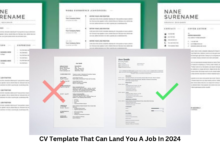 CV Template That Can Land You A Job In 2024
