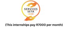 Services Seta Internships (This internships pay R7000 per month)