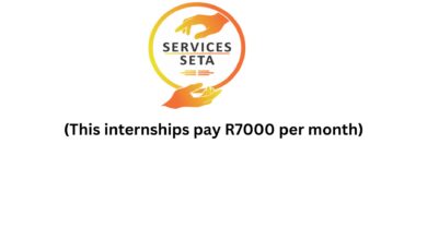 Services Seta Internships (This internships pay R7000 per month)