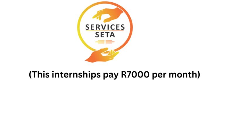 Services Seta Internships (This internships pay R7000 per month)