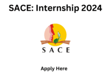 SACE: Internship 2024