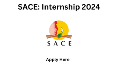 SACE: Internship 2024