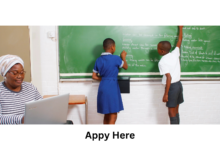 Teacher Youth Development Interns