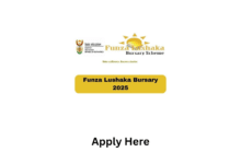 The Department of Education Free Teaching Bursary 2025 (Funza Lushaka)