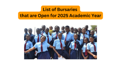 List of Bursaries that are Open for 2025 Academic Year