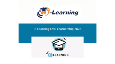 LMS: E-Learning Learnerships 2025