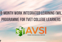 18-Month (WIL) Programme for TVET College Learners