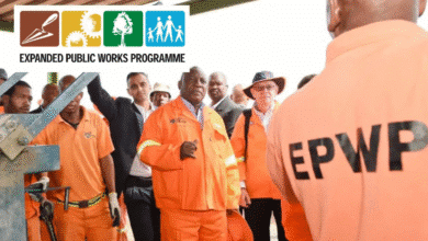 Youth Graduate Work Programme 2025