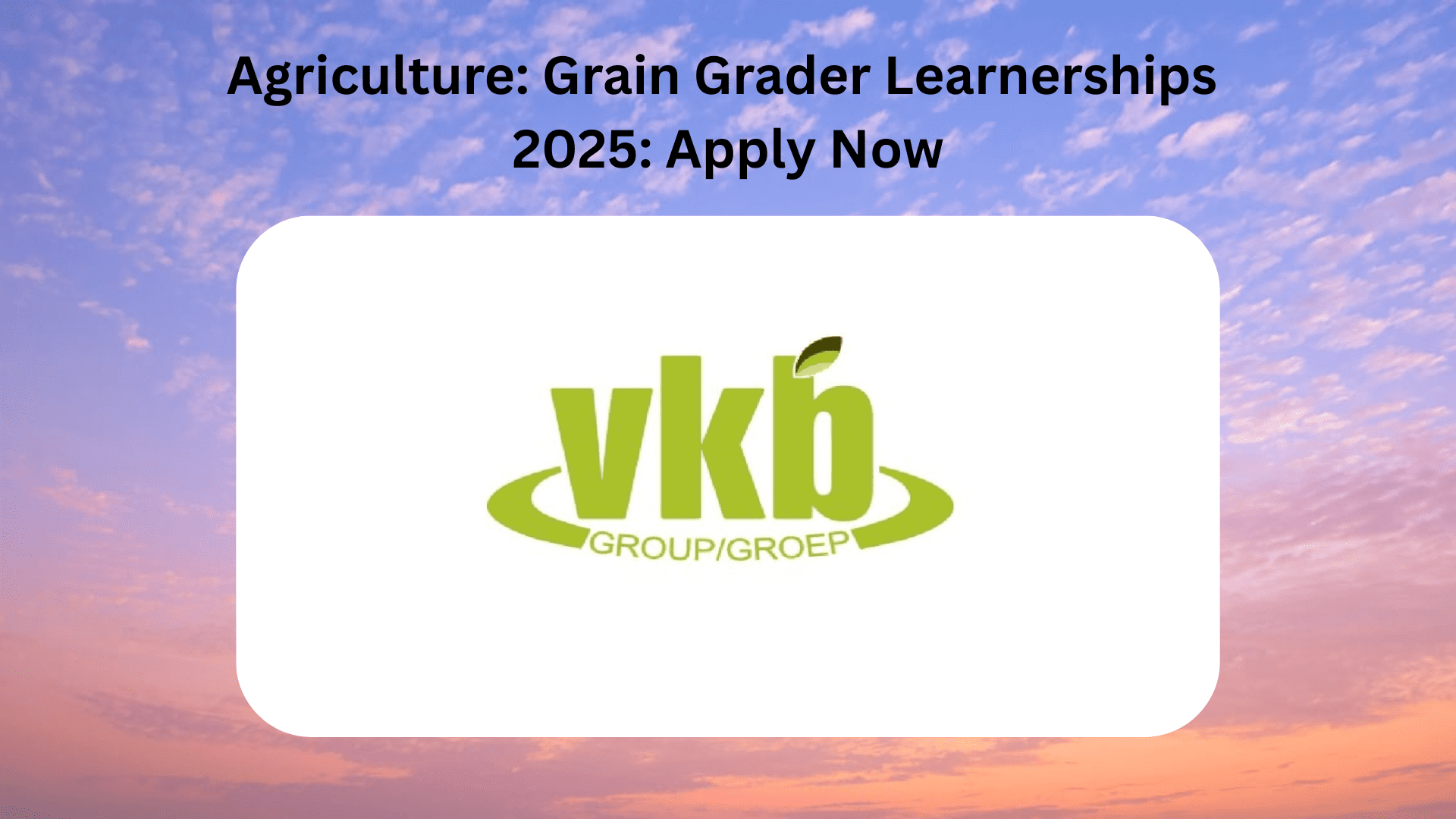 Agriculture: Grain Grader Learnerships 2025
