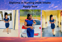 Diploma in Nursing 2026 Intake