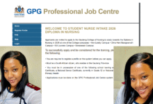 Nursing intake Gauteng Gov za