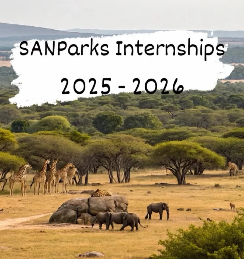 SANParks Internships