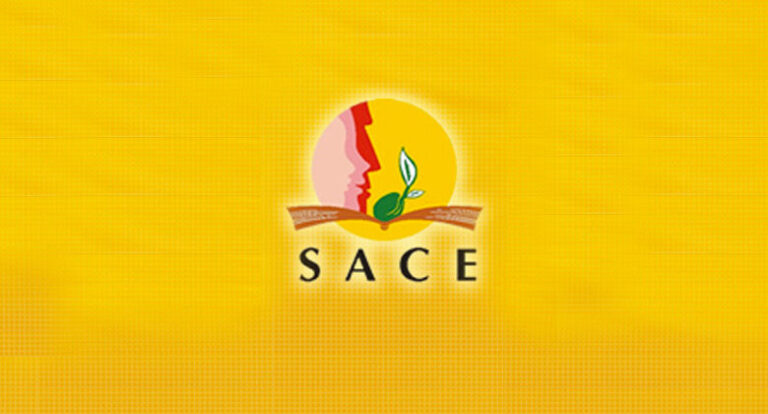 SACE 2026/2027 Internship Programme