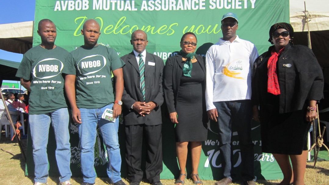 Avbob Insurance YES Learnerships