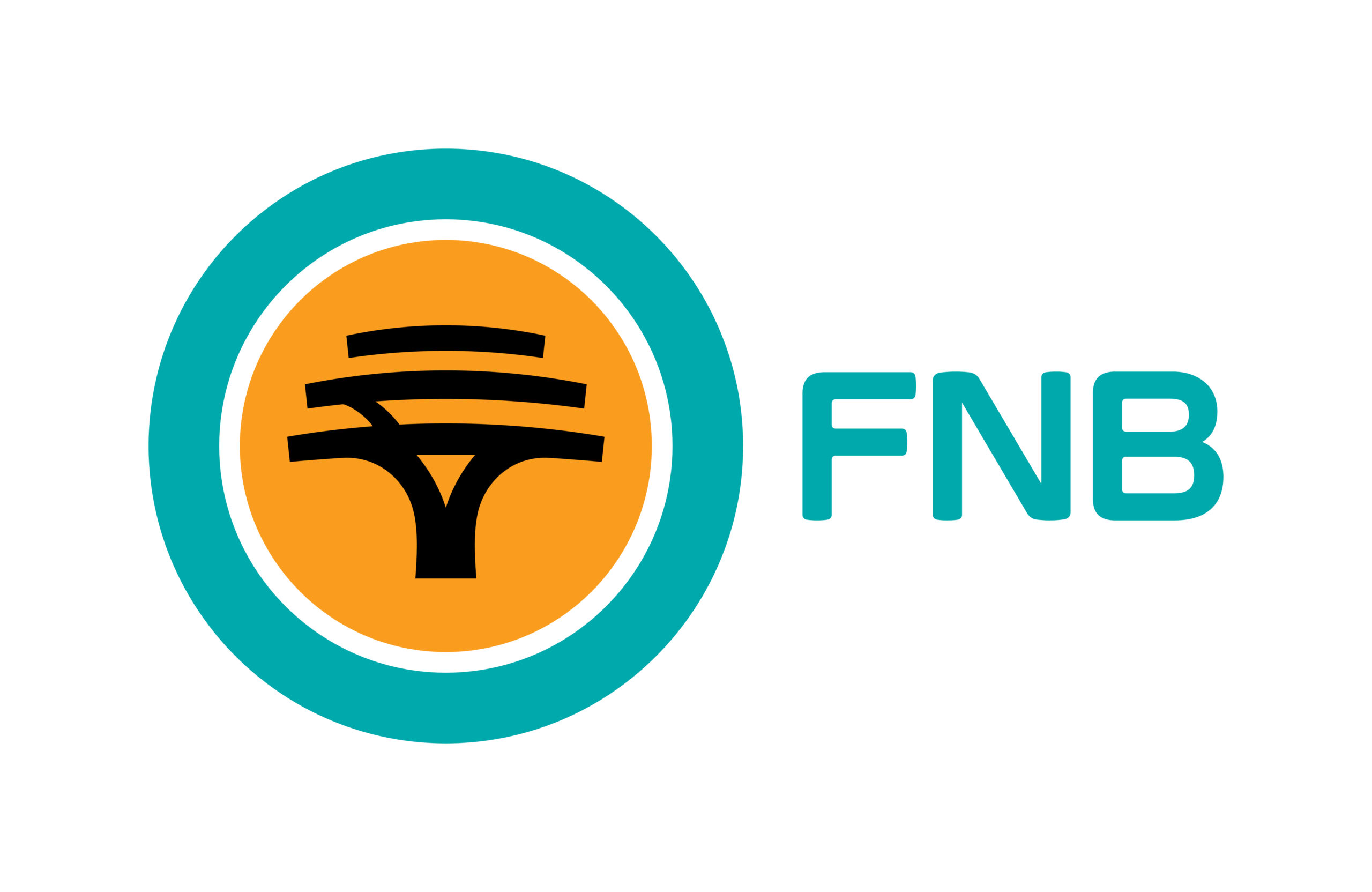 FNB External Sales Agent